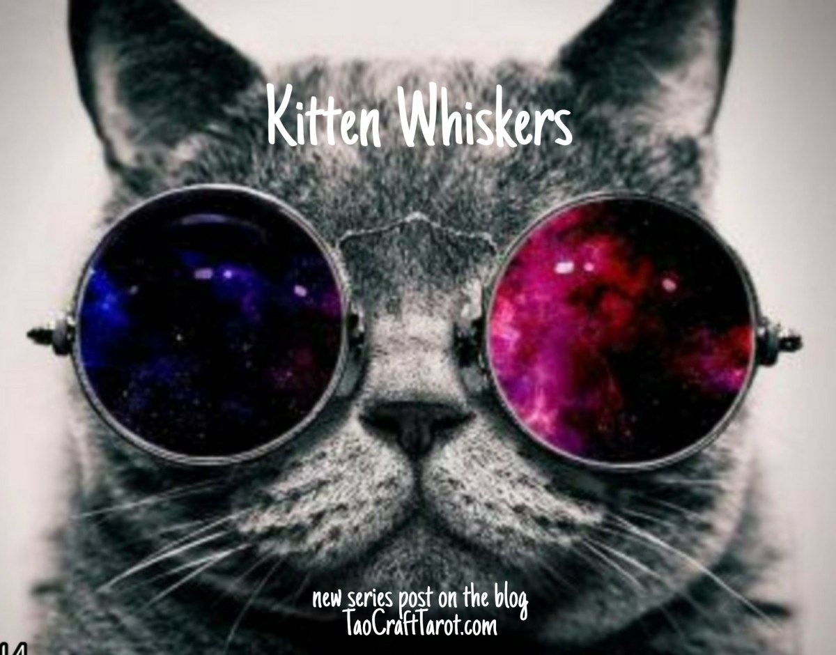 Kitten Whiskers: Spark